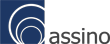 Международная консалтинговая компания Assino